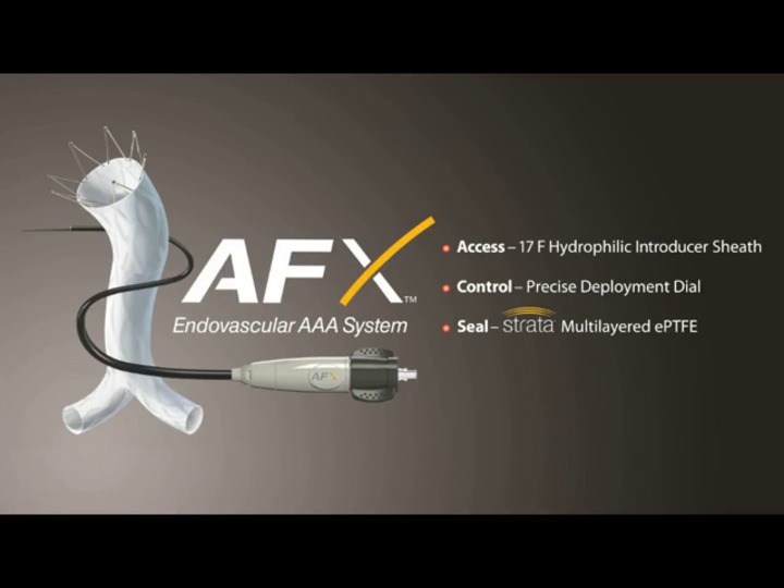 AFX Stand-Aloneリムエクステンション 第5版
