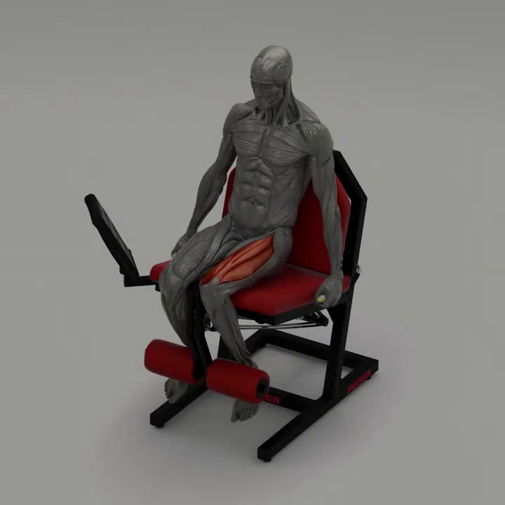 Aparelho de musculação cadeira extensora - A300 - Keiser